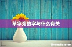 草字旁的字与什么有关