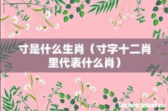 寸字十二肖里代表什么肖 寸是什么生肖