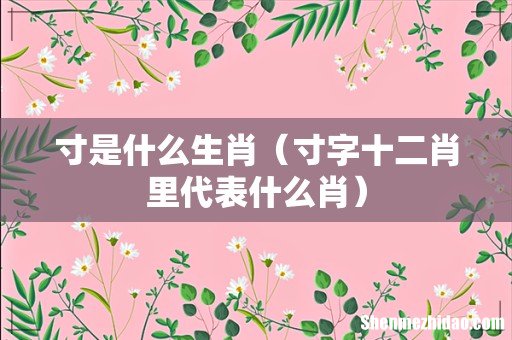 寸字十二肖里代表什么肖 寸是什么生肖