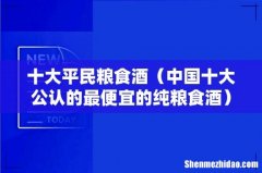 中国十大公认的最便宜的纯粮食酒 十大平民粮食酒