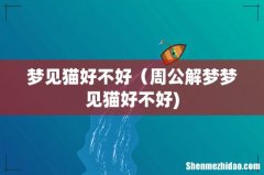 梦见猫好不好（周公解梦梦见猫好不好)