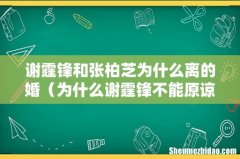 为什么谢霆锋不能原谅张柏芝 谢霆锋和张柏芝为什么离的婚