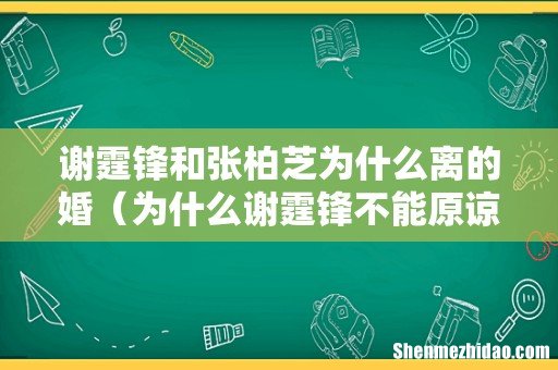 为什么谢霆锋不能原谅张柏芝 谢霆锋和张柏芝为什么离的婚