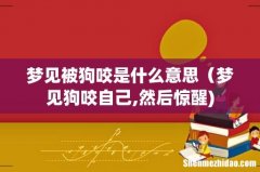 梦见被狗咬是什么意思（梦见狗咬自己,然后惊醒)