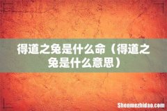 得道之兔是什么意思 得道之兔是什么命