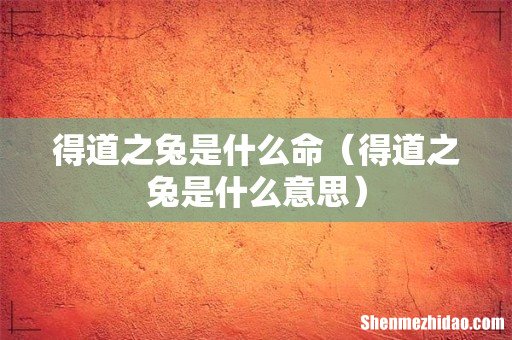 得道之兔是什么意思 得道之兔是什么命