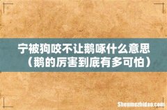 鹅的厉害到底有多可怕 宁被狗咬不让鹅啄什么意思
