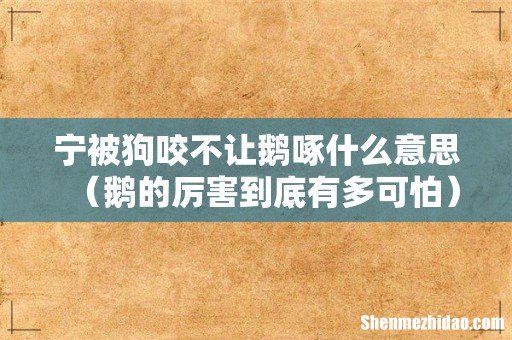 鹅的厉害到底有多可怕 宁被狗咬不让鹅啄什么意思