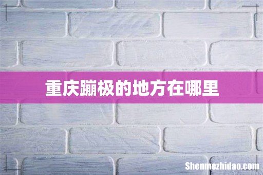 重庆蹦极的地方在哪里
