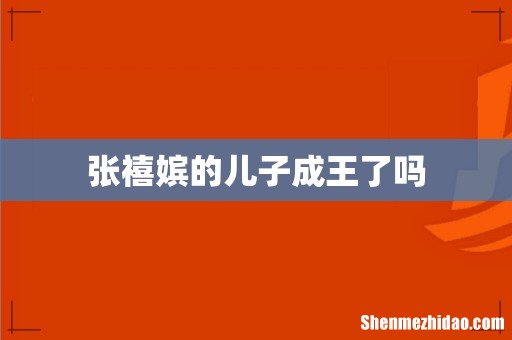 张禧嫔的儿子成王了吗