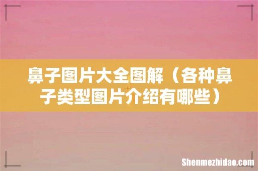 各种鼻子类型图片介绍有哪些 鼻子图片大全图解