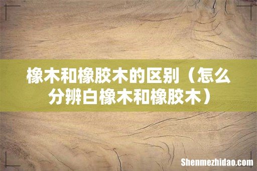 怎么分辨白橡木和橡胶木 橡木和橡胶木的区别