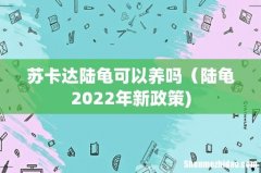 苏卡达陆龟可以养吗（陆龟2022年新政策)