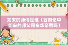 西游记中如来的师父是东华帝君吗 如来的师傅是谁