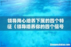 领导培养你的四个信号 领导用心培养下属的四个特征