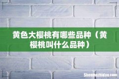 黄樱桃叫什么品种 黄色大樱桃有哪些品种