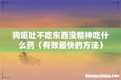 有效最快的方法 狗呕吐不吃东西没精神吃什么药