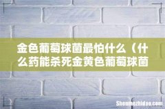 什么药能杀死金黄色葡萄球菌 金色葡萄球菌最怕什么