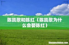 陈凯歌为什么会娶陈红 陈凯歌和陈红