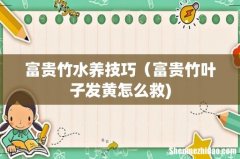 富贵竹水养技巧（富贵竹叶子发黄怎么救)