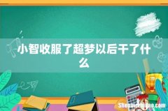 小智收服了超梦以后干了什么