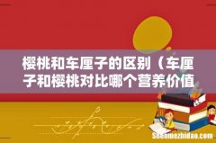 车厘子和樱桃对比哪个营养价值高 樱桃和车厘子的区别