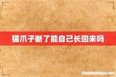 猫爪子断了能自己长回来吗