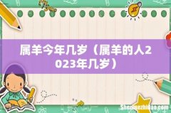 属羊的人2023年几岁 属羊今年几岁