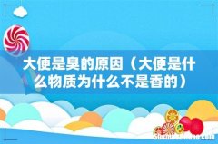 大便是什么物质为什么不是香的 大便是臭的原因