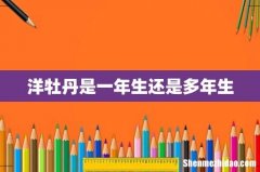 洋牡丹是一年生还是多年生