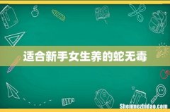 适合新手女生养的蛇无毒