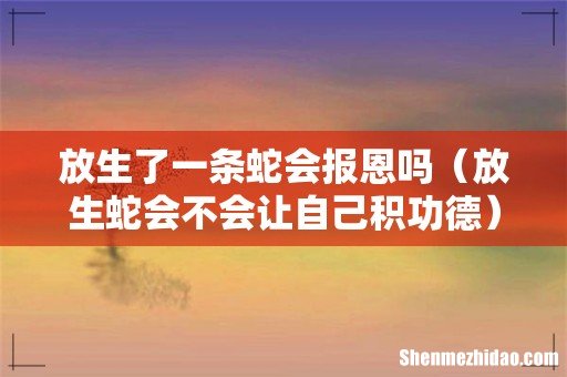 放生蛇会不会让自己积功德 放生了一条蛇会报恩吗