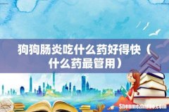 什么药最管用 狗狗肠炎吃什么药好得快
