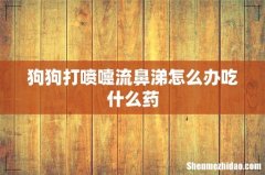 狗狗打喷嚏流鼻涕怎么办吃什么药