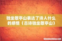 古诗独坐敬亭山 独坐敬亭山表达了诗人什么的感情