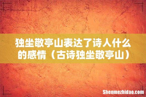 古诗独坐敬亭山 独坐敬亭山表达了诗人什么的感情