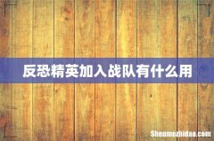反恐精英加入战队有什么用