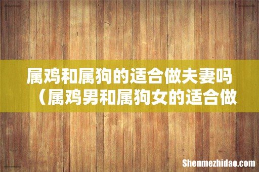 属鸡男和属狗女的适合做夫妻吗 属鸡和属狗的适合做夫妻吗