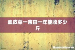 血皮菜一亩田一年能收多少斤