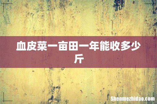 血皮菜一亩田一年能收多少斤