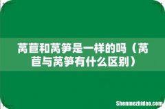 莴苣与莴笋有什么区别 莴苣和莴笋是一样的吗