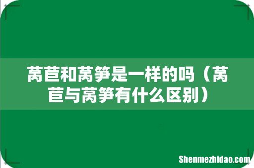 莴苣与莴笋有什么区别 莴苣和莴笋是一样的吗