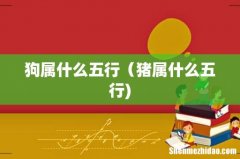 狗属什么五行（猪属什么五行)