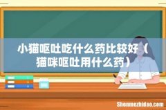 猫咪呕吐用什么药 小猫呕吐吃什么药比较好