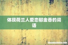 体现荷兰人爱恋郁金香的词语