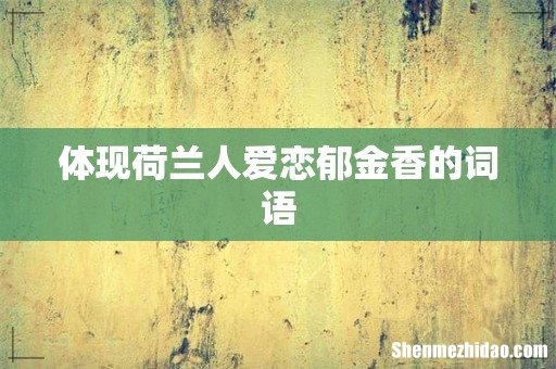 体现荷兰人爱恋郁金香的词语