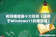 适用于Windows11的播放器 视频播放器十大排名