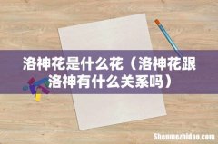 洛神花跟洛神有什么关系吗 洛神花是什么花