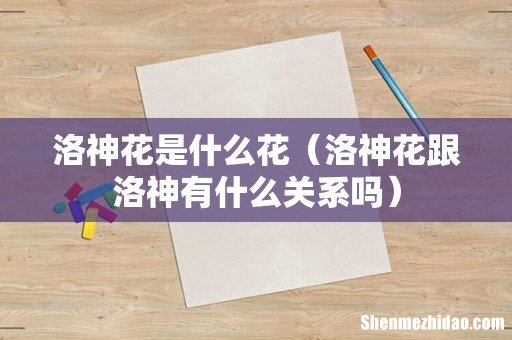 洛神花跟洛神有什么关系吗 洛神花是什么花
