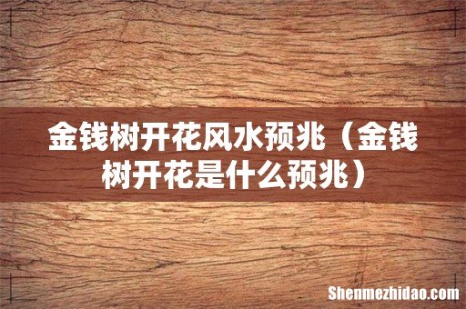 金钱树开花是什么预兆 金钱树开花风水预兆
